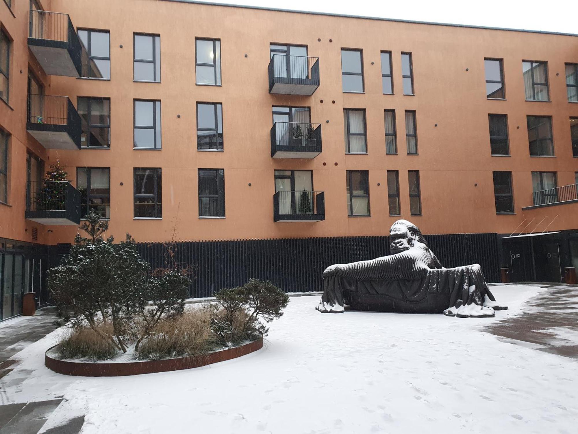 New Cozy In The Old Town Of Vilnius, Paupys *
